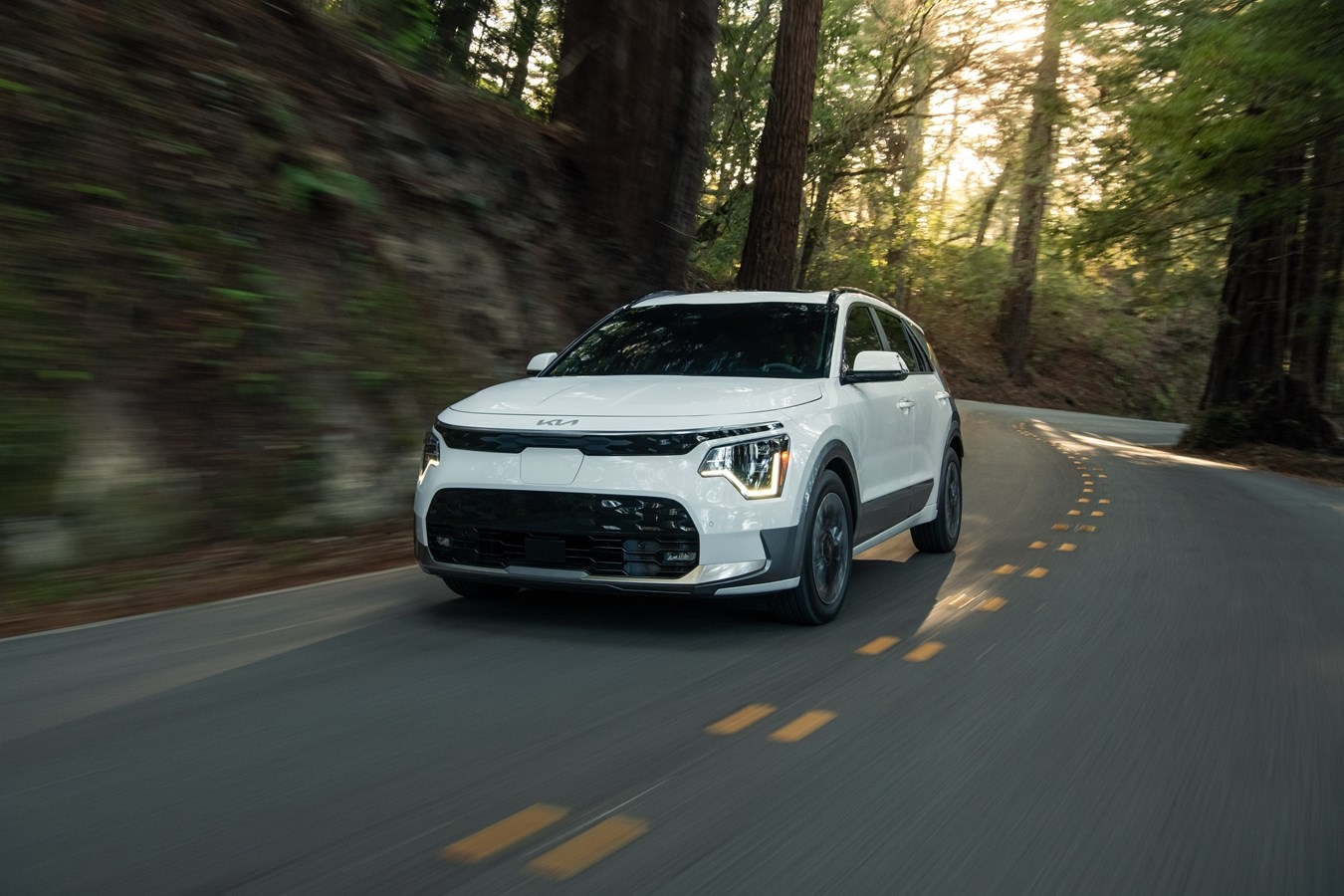 Kia-Niro-EV-face_1